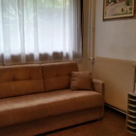 Apartment Studio Gallia Cannes