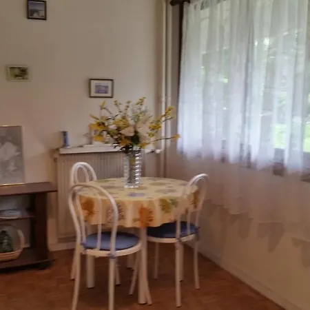 Studio Gallia * Cannes